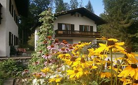 Ferienhaus Wildbachblick